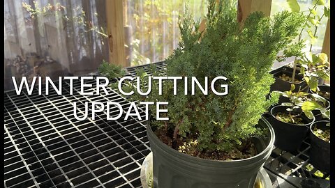 Winter Cutting Update
