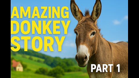 Amazing donkey video 🤩🤩🤩