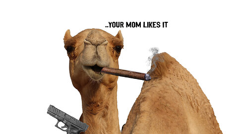 HUMP DAY LIVE with the INDUSTRY KILLERS! Ask Questions, CATCH DEALS.