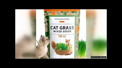 HOME GROWN 1 Pound Cat Grass Seeds for Indoor Cats & Pets Review