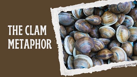 On Clams
