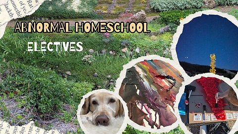 Electives or BUST! 2+2=Milk or 2+2=5?