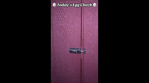 🥚 Wednesday’s Egg Check! 🥚