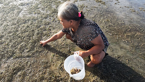 Grandma Hunts for Shells To Cook