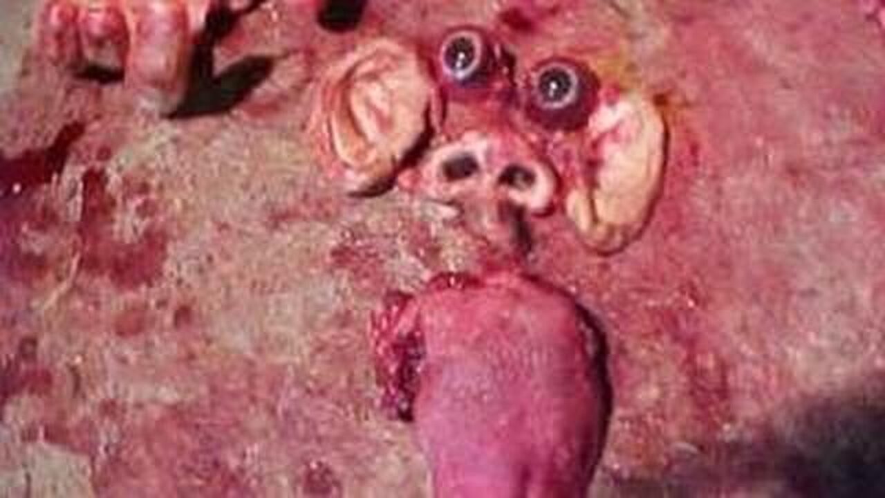 Murder of Tim McLean