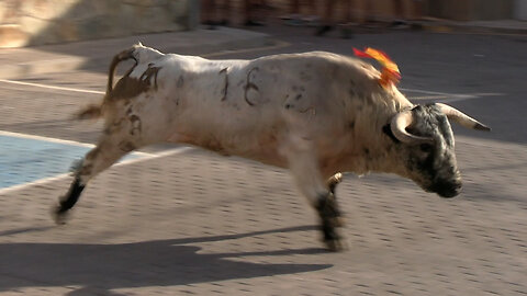 2025 08 24 ONDA Mª ANTONIA DE LA SERNA Nº16 Y Nº18