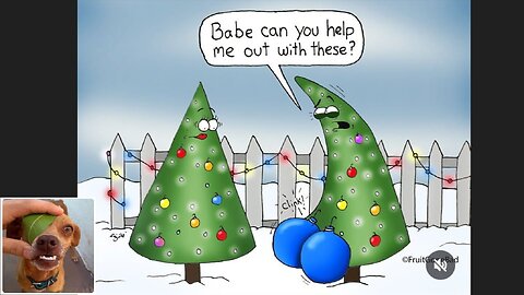 Memes That Will 99.0562% Make You Laugh. (e786)