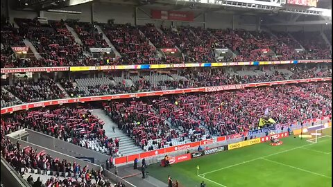 Feyenoord Rotterdam vs Heracles Almelo. Splendid atmosphere