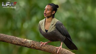 DON’T BE A BIRD-BRAIN