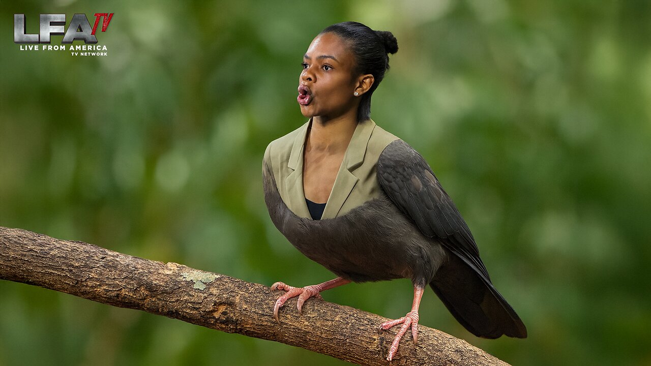 DON’T BE A BIRD-BRAIN