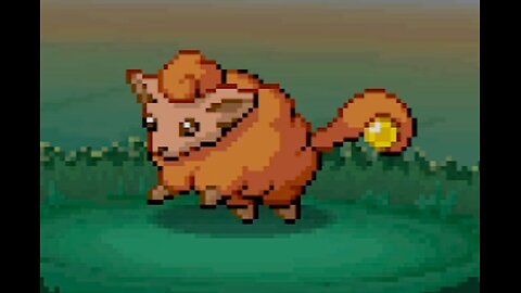 the search continues