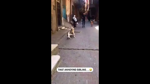 mortal Kombat 😂