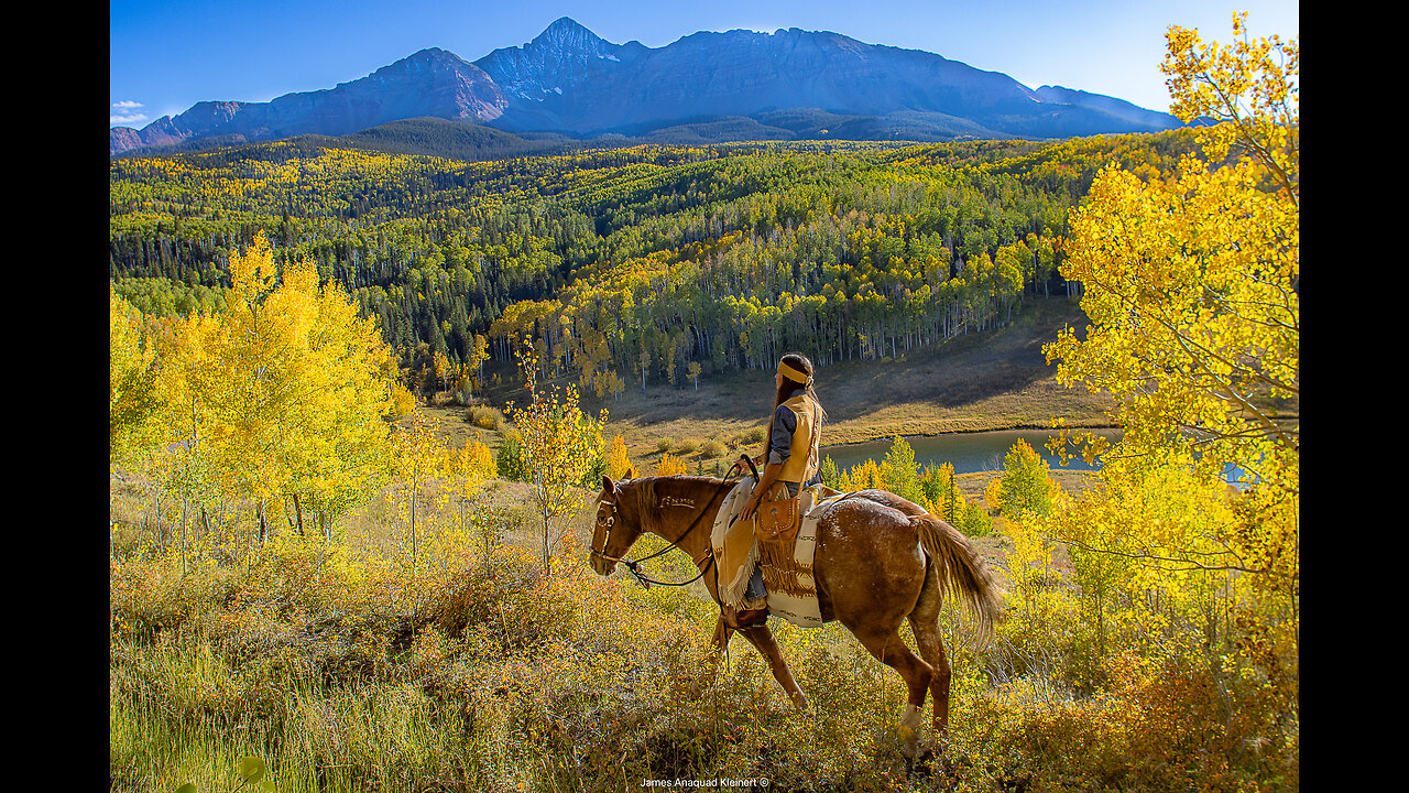 Horse Medicine - Inspiration!