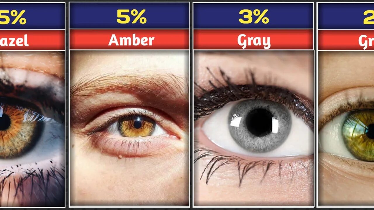 The Official Guide to the World's Eye Colors: A Journey Through Diversity