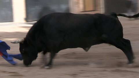 2025 11 01 MASSAMAGRELL VICTORIANO DEL RÍO Nº133