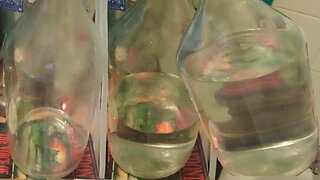 04, #distilling , uncensored, from putting the still