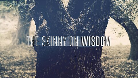 The Skinny On Wisdom