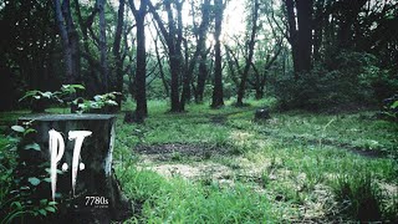 There's no end.... P.T. on Dreams PS5
