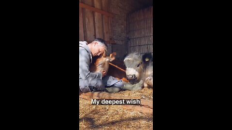 😍Animals Loving On Their Dad💗