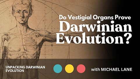 Do Vestigial Organs Prove Darwinian Evolution? | Unpacking Darwinian Evolution 1/4