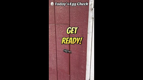 🥚 Today’s Egg Check! 🥚