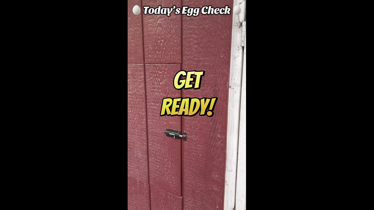 🥚 Today’s Egg Check! 🥚
