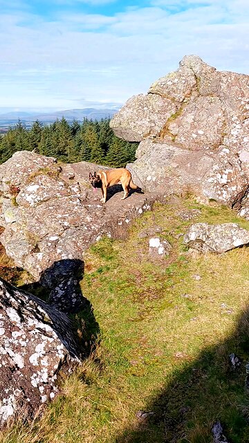 Scotland: The Whangie. 🏴󠁧󠁢󠁳󠁣󠁴󠁿