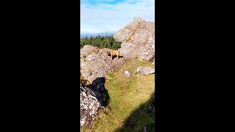 Scotland: The Whangie. 🏴󠁧󠁢󠁳󠁣󠁴󠁿