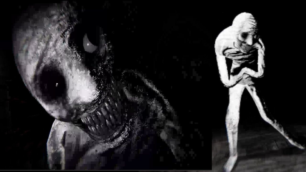 RUSSIAN SLEEP EXPERIMENT-INSPIRED GAME!? Insomnis Experiment