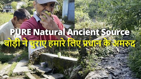 PURE Natural Ancient Source Of Water गांव ने अपने स्वार्थ के लिए इसे भी छोड़ दिया #canada🍁#travel