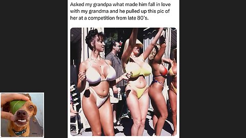 Memes That Will 99.0508% Make You Laugh. (e732)