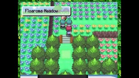 Specializing in Grass type Pokémon, Platinum Paythrough 1.5
