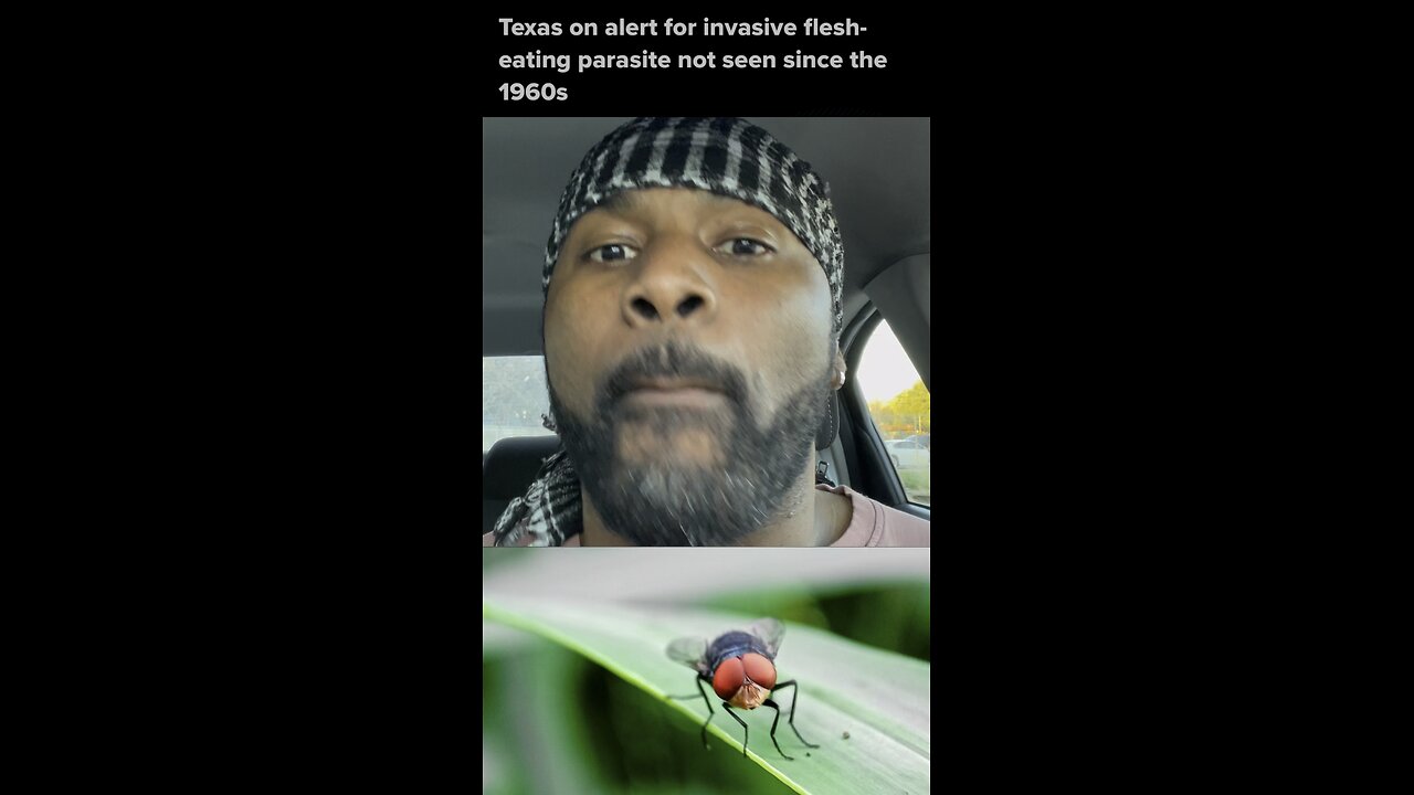 PARASITE SPOTTED IN TEXAS?