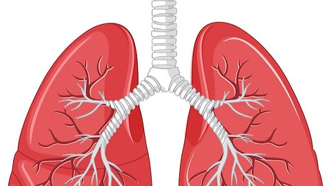 LUNGS health & Oranges Benefits