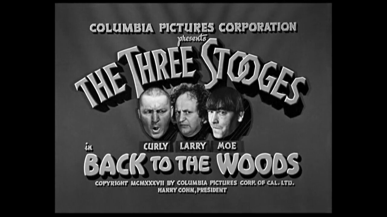 The Three Stooges - "Back to the Woods"