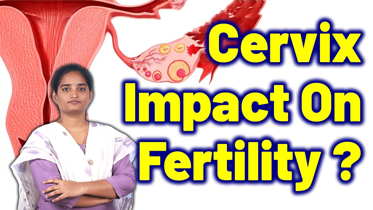Does Cervical Factors Affect on Fertility Cervical canal | Homeopathy Medicine Treatment and Surgery