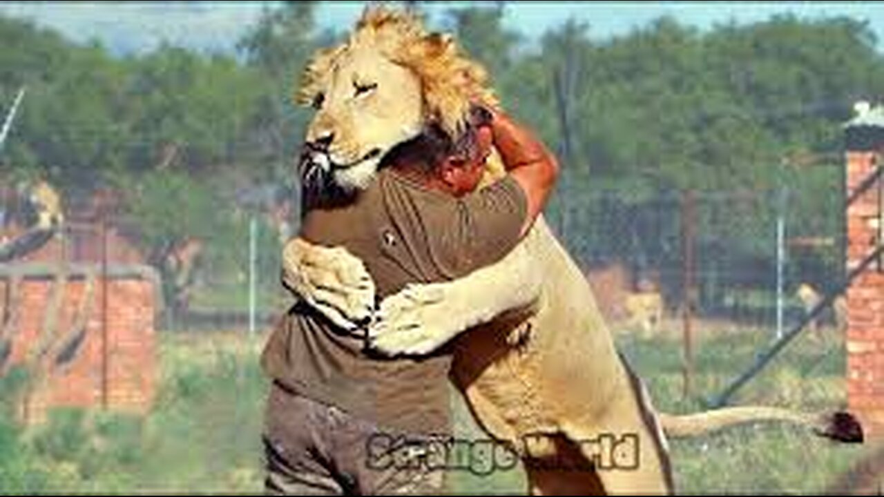 Animals Reunited With Owners After Years!