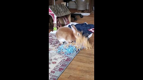 Cheerleader Bun!