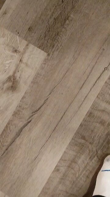 Deano's at eight weeks old, Our Ranch A.G.F.C