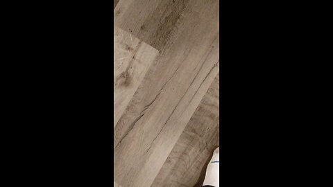 Deano's at eight weeks old, Our Ranch A.G.F.C