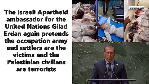 Israeli ambassador for the UN pretends the occupation army and settlers are the victims