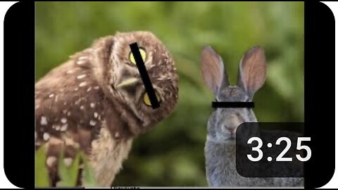 NZ 20250726 A response to Farrah Fiasco