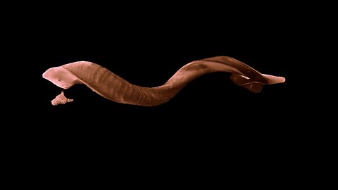 shofar Sound call to Repentance, and worship in song