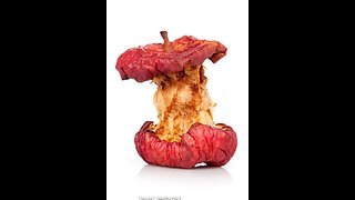 UNE SEULE UNIQUE RAISON NÉCESSAIRE et SUFFISANTE POUR DOUTER : L’AFFAIRE TROGNON ?