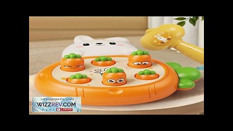 Cartoon Montessori Baby Toys Toddler Educational Birthday Gift Animal Theme Knocking Game Review