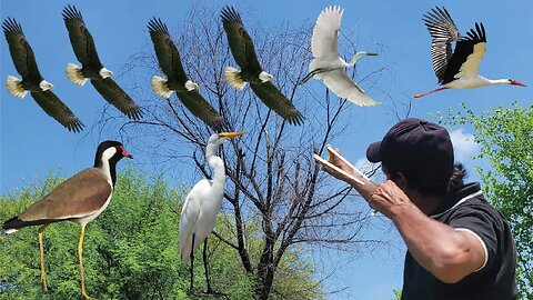 "Precision and Flight: The Art of Bird Hunting with a Sling Shot