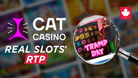 Real RTP and Cat Casino's Review