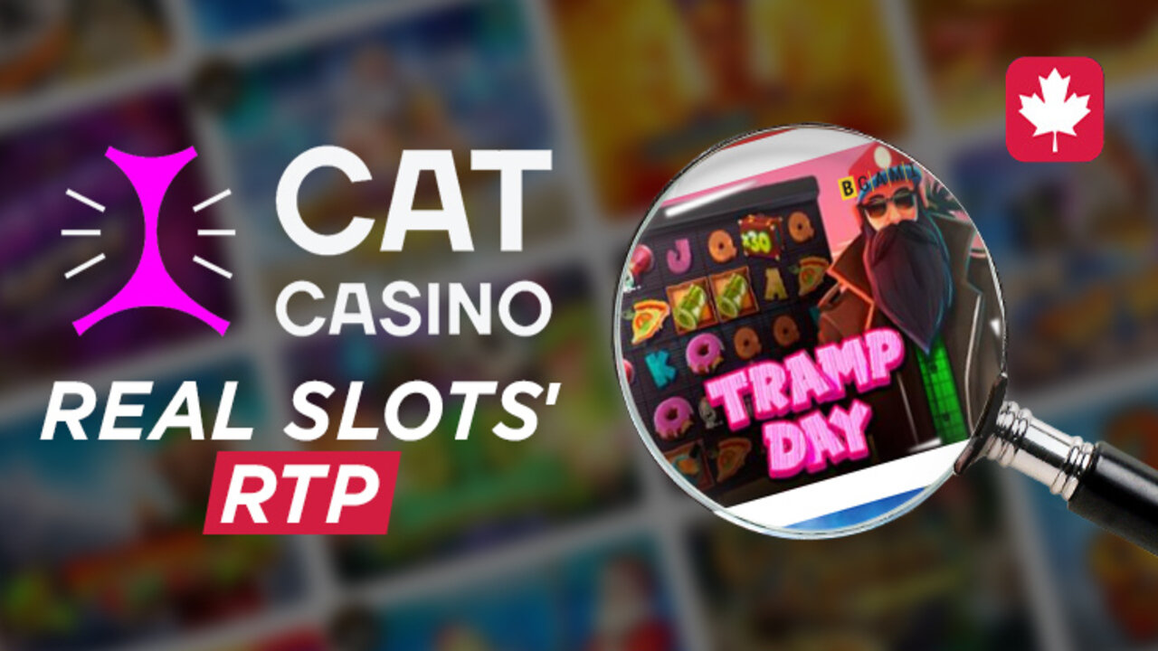 Real RTP and Cat Casino's Review