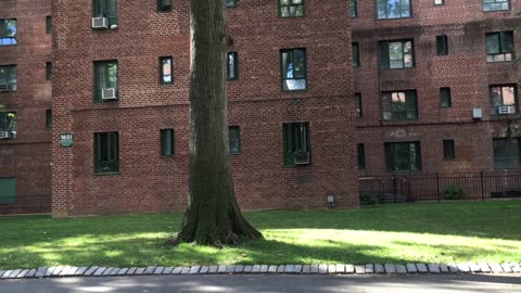 Tyler Perry DESTROYED Black Film & Black Cinema