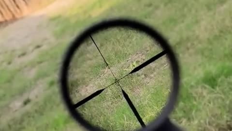 Leupold VX-Freedom 3-9x40mm: Unbelievable Features at an Affordable Price!
